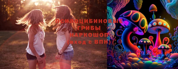Альфа ПВП Покровск