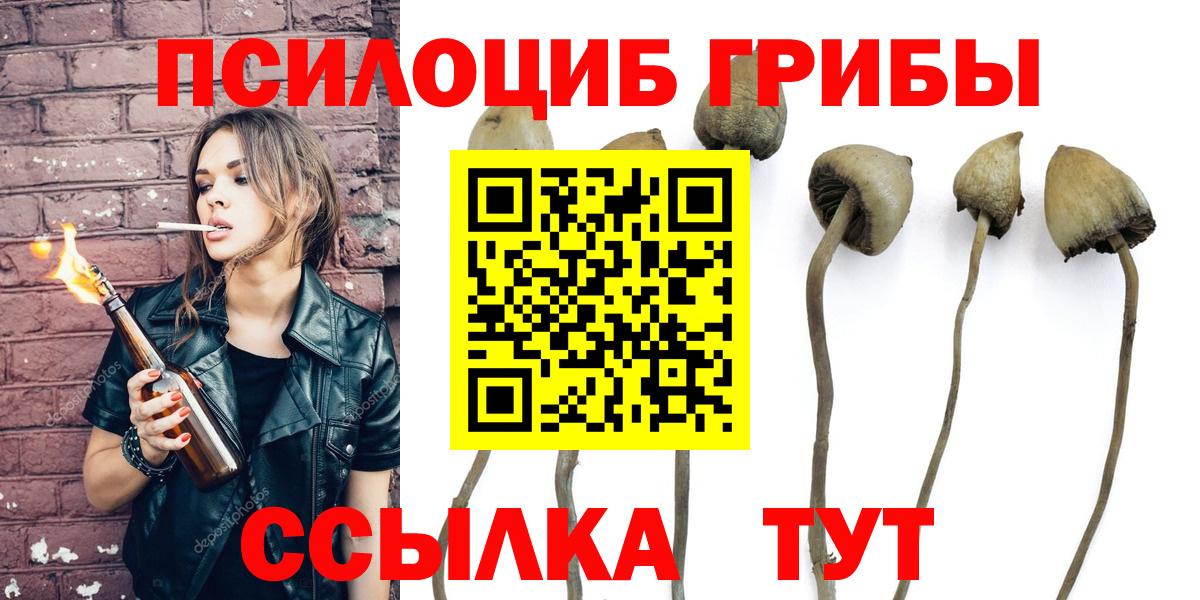 Галлюциногенные грибы мухоморы Великий Устюг